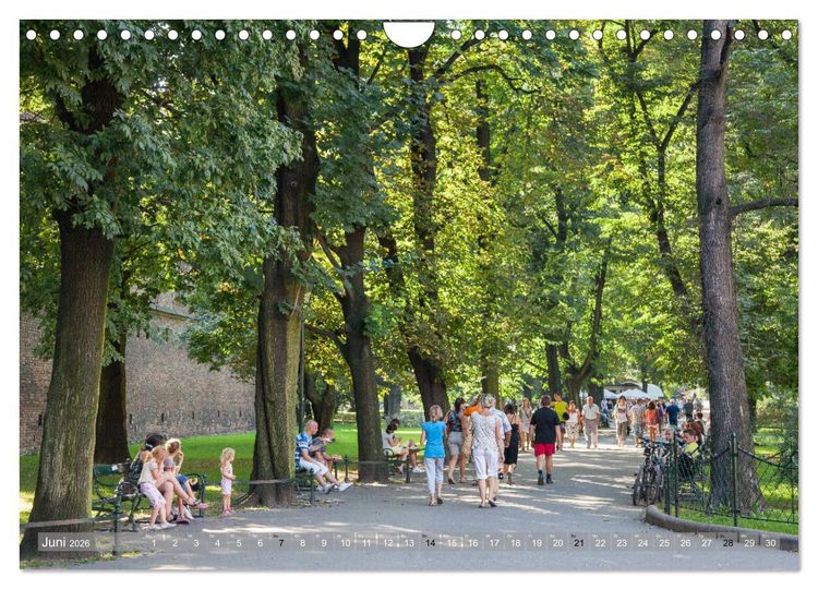 Produktbild: Polen Poesie (Wandkalender 2026 DIN A4 quer), CALVENDO Monatskalender
