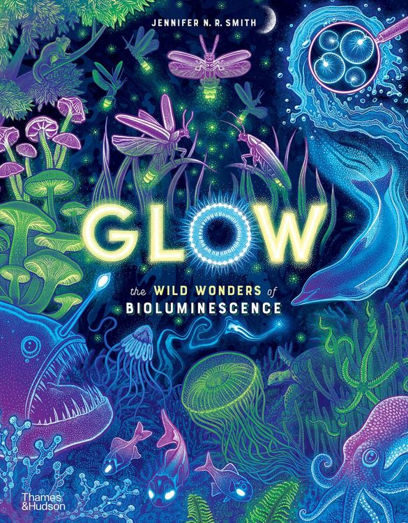 Produktbild: Glow
