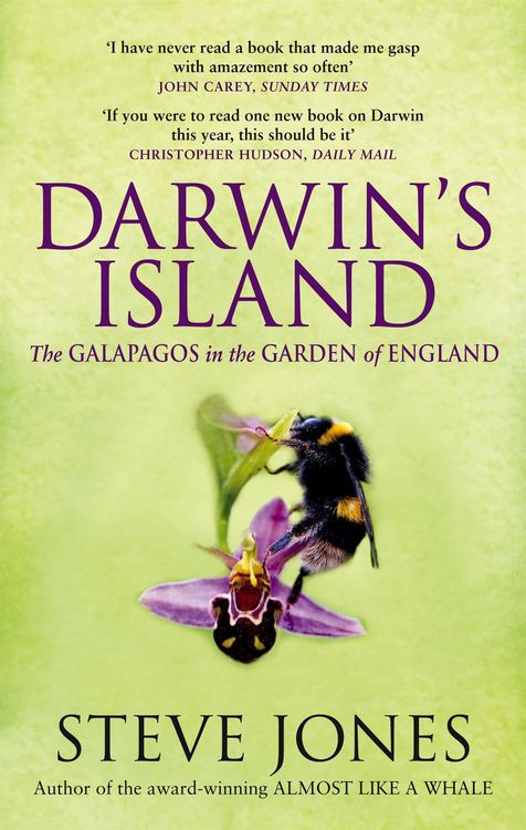 Produktbild: Darwin's Island