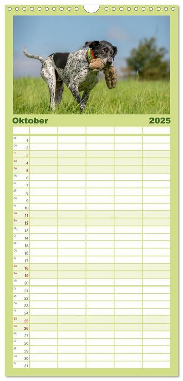 Familienplaner 2025 - Jagdhunde bei der Arbeit mit 5 Spalten (Wandkalender, 21 x 45 cm) CALVENDO