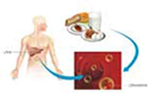 Produktbild: Estimation of Blood Cholesterol