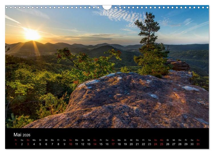 Produktbild: Mystischer Pf&auml;lzer Wald (Wandkalender 2026 DIN A3 quer), CALVENDO Monatskalender