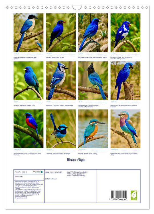 Produktbild: Blaue V&ouml;gel (Wandkalender 2026 DIN A3 hoch), CALVENDO Monatskalender