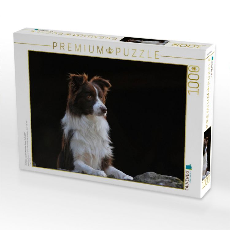 Produktbild: CALVENDO Puzzle Ein Motiv aus dem Kalender Border Collie 2017 | 1000 Teile Lege-Gr&ouml;&szlig;e 64x48cm Foto-Puzzle f&uuml;r gl&uuml;ckliche Stunden