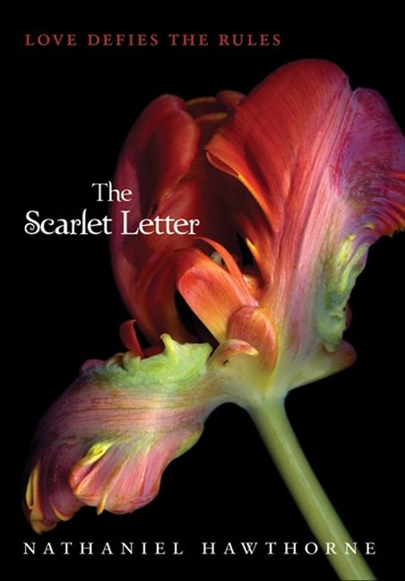 Produktbild: The Scarlet Letter