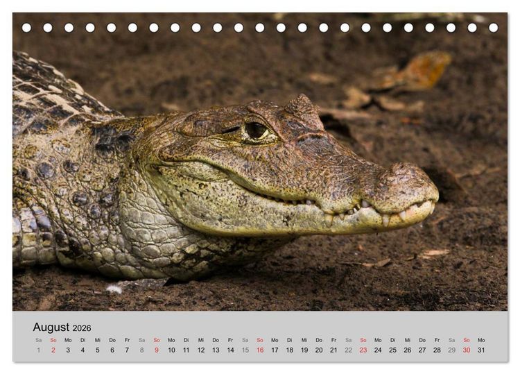 Produktbild: Costa Rica (Tischkalender 2026 DIN A5 quer), CALVENDO Monatskalender
