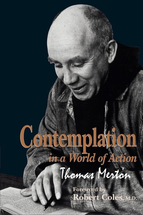 Produktbild: Contemplation in a World of Action