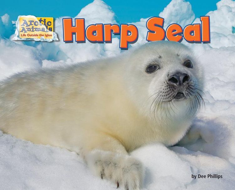 Produktbild: Harp Seal
