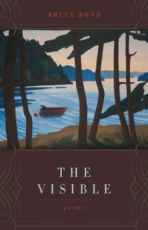 Produktbild: The Visible