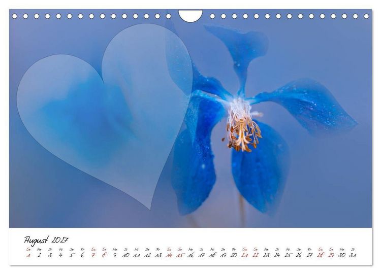 Produktbild: Blauer Bl&uuml;tentraum - Bastelkalender (Wandkalender 2027 DIN A4 quer), CALVENDO Monatskalender