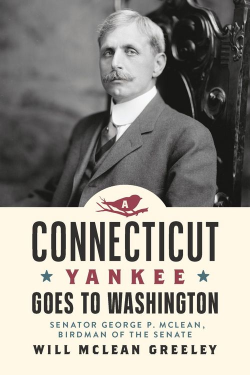 Produktbild: A Connecticut Yankee Goes to Washington