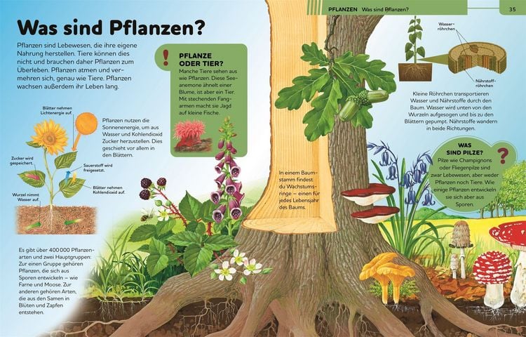 Produktbild: Das gro&szlig;e Kinderlexikon Grundschulwissen