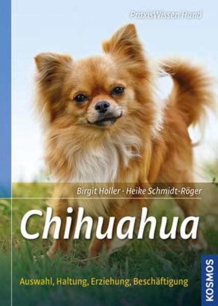 Produktbild: Chihuahua