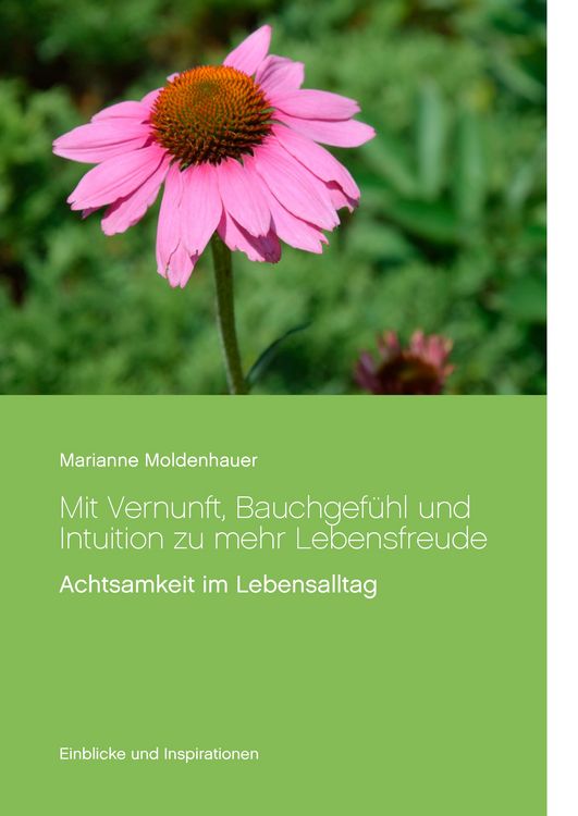 Produktbild: Mit Vernunft, Bauchgef&uuml;hl und Intuition zu mehr Lebensfreude
