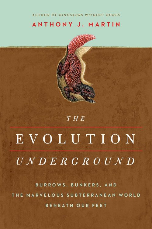 Produktbild: The Evolution Underground