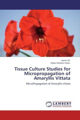 Produktbild: Ali, A: Tissue Culture Studies for Micropropagation of Amary