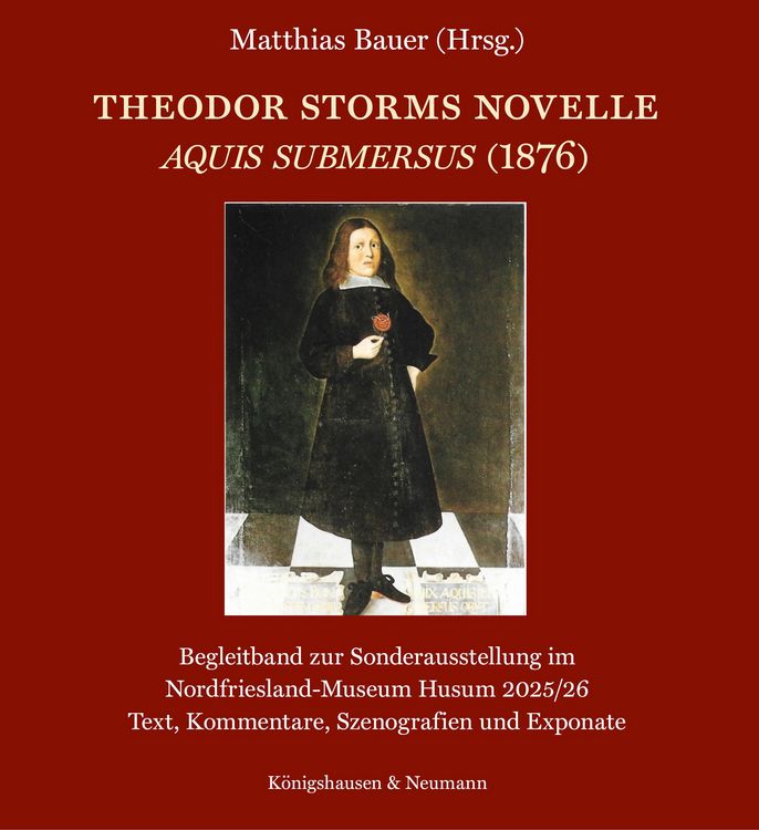 Produktbild: Theodor Storms Novelle Aquis submersus (1876)
