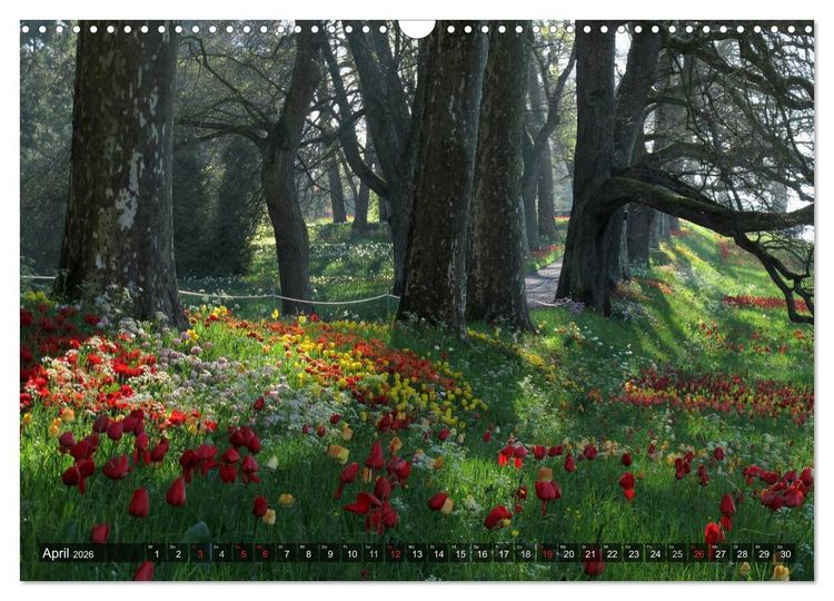 Produktbild: Zauberhafter Bodensee (Wandkalender 2026 DIN A3 quer), CALVENDO Monatskalender