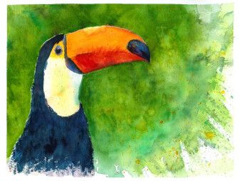 Produktbild: CALVENDO Puzzle Aquarell Tukan | 1000 Teile Lege-Gr&ouml;&szlig;e 64x48cm Foto-Puzzle f&uuml;r gl&uuml;ckliche Stunden