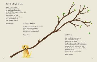 Produktbild: The Dog is Full of Love