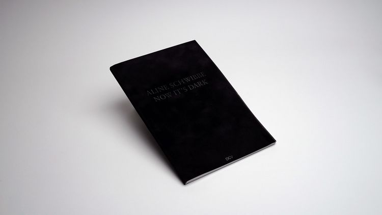 Produktbild: Aline Schwibbe &ndash; Now It&rsquo;s Dark