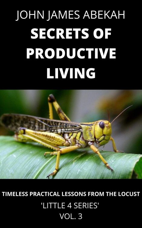 Produktbild: Secrets of Productive Living (Timeless Practical Lessons from the Locust)