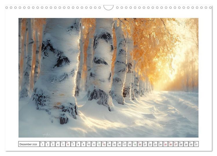 Produktbild: Birkenzauber (Wandkalender 2026 DIN A3 quer), CALVENDO Monatskalender