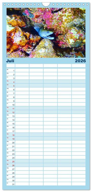 Produktbild: Familienplaner 2026 - Geheimnisvolle Welt unter Wasser - Nachts am Riff mit 5 Spalten (Wandkalender, 21 x 45 cm) CALVENDO