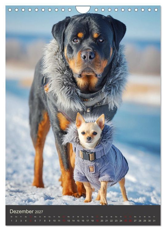 Produktbild: Rottweiler. Kraft, Herz und Treue (Wandkalender 2027 DIN A4 hoch), CALVENDO Monatskalender