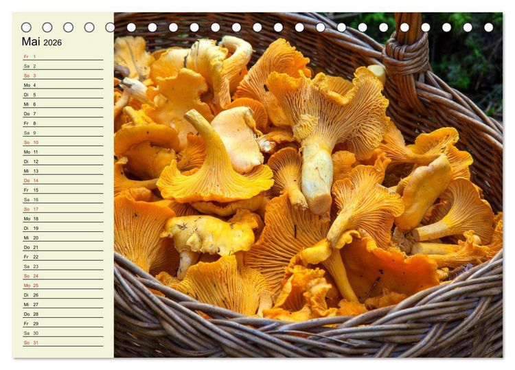 Produktbild: Pilze und Pilzgerichte (Tischkalender 2026 DIN A5 quer), CALVENDO Monatskalender