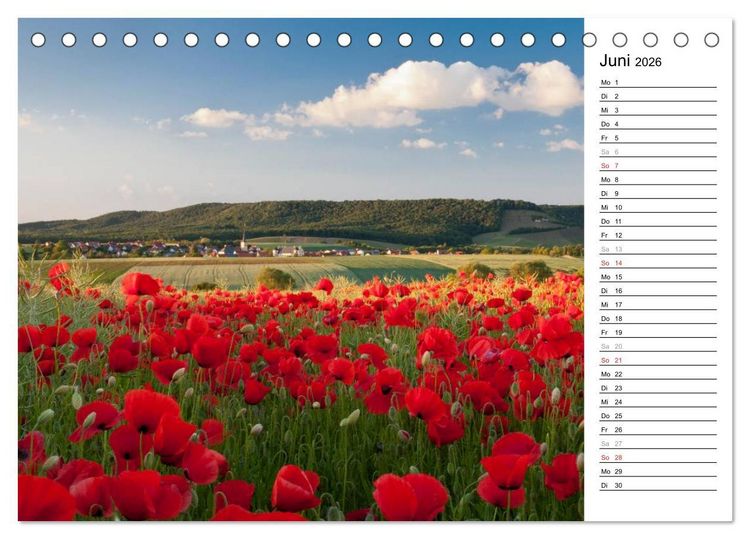 Produktbild: DER STEIGERWALD - Impressionen einer Landschaft (Tischkalender 2026 DIN A5 quer), CALVENDO Monatskalender