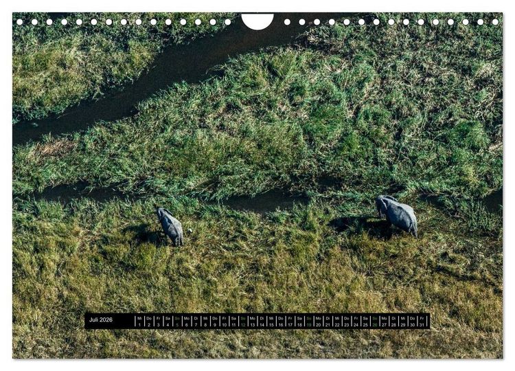 Produktbild: Afrikas Tierwelt - Wilde Elefanten (Wandkalender 2026 DIN A4 quer), CALVENDO Monatskalender