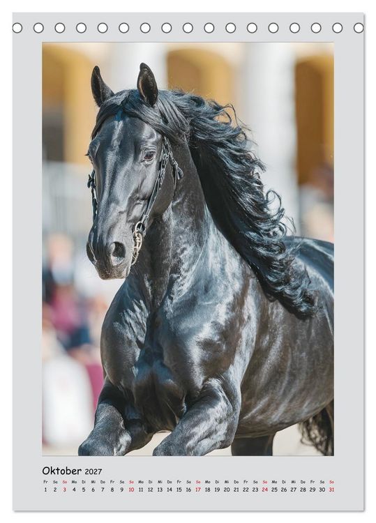 Produktbild: Friesenpferde. Schwarze Eleganz in der Natur (Tischkalender 2027 DIN A5 hoch), CALVENDO Monatskalender