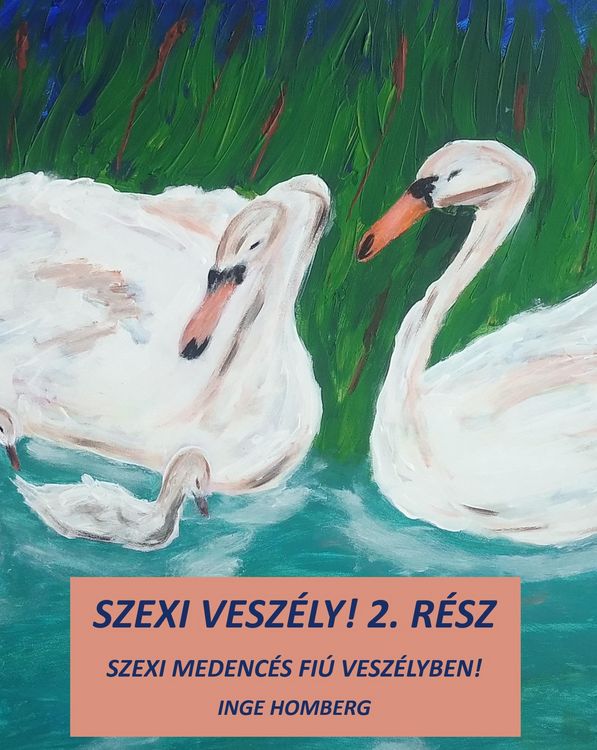 Produktbild: Szexi vesz&eacute;ly! 2. r&eacute;sz