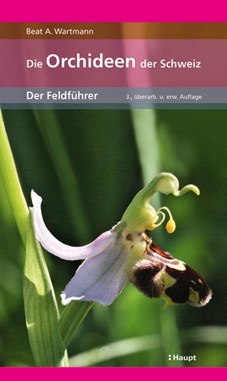 Produktbild: Die Orchideen der Schweiz