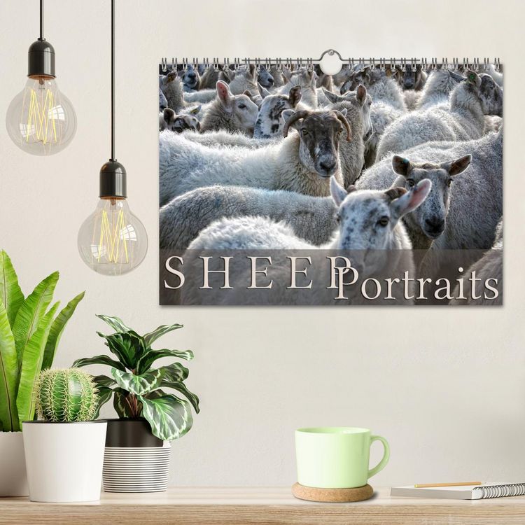 Produktbild: Sheep Portraits (Wall Calendar 2026 DIN A4 landscape), CALVENDO 12 Month Wall Calendar