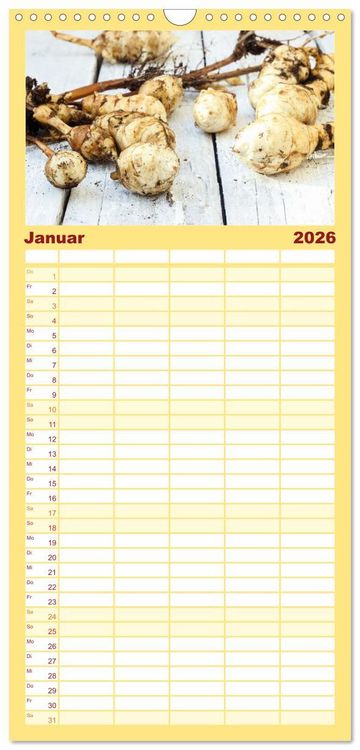 Produktbild: Familienplaner 2026 - K&ouml;stliche Topinambur mit 5 Spalten (Wandkalender, 21 x 45 cm) CALVENDO