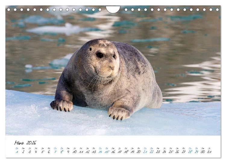 Produktbild: 78&deg; Nord - Arktische Momente in Svalbard (Wandkalender 2026 DIN A4 quer), CALVENDO Monatskalender