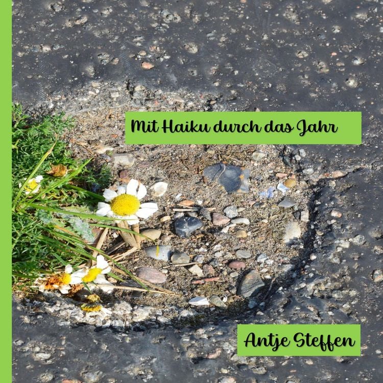 Produktbild: Mit Haiku durch das Jahr