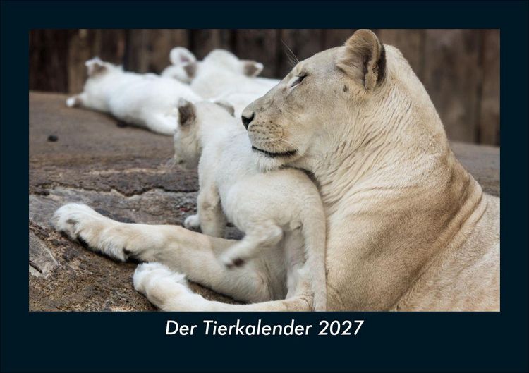 Produktbild: Der Tierkalender 2027 Fotokalender DIN A5