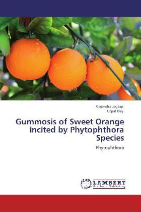 Produktbild: Jagtap, G: Gummosis of Sweet Orange incited by Phytophthora