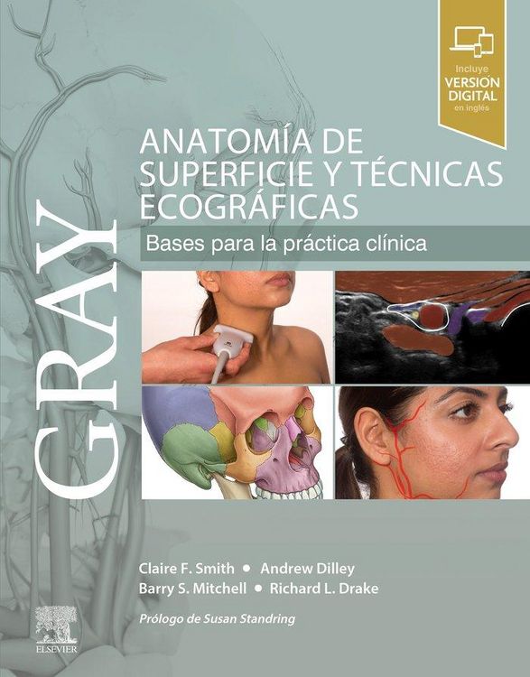 Produktbild: Gray : anatom&iacute;a de superficie y t&eacute;cnicas ecogr&aacute;ficas