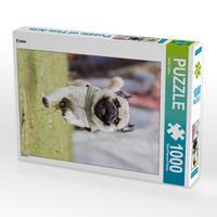 Produktbild: CALVENDO Puzzle Erster | 1000 Teile Lege-Gr&ouml;&szlig;e 64x48cm Foto-Puzzle f&uuml;r gl&uuml;ckliche Stunden