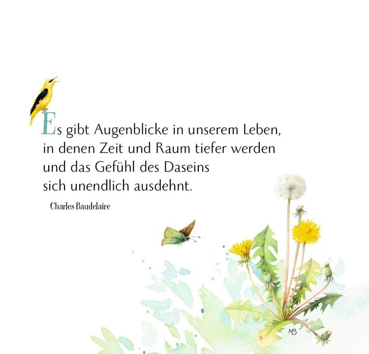 Produktbild: Kl. Spiralaufstellbuch: Einfach mal so (Bastin)