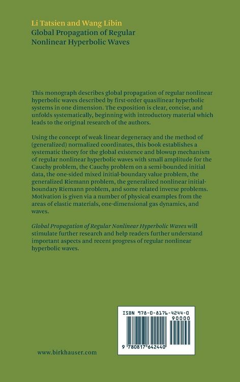 Produktbild: Global Propagation of Regular Nonlinear Hyperbolic Waves