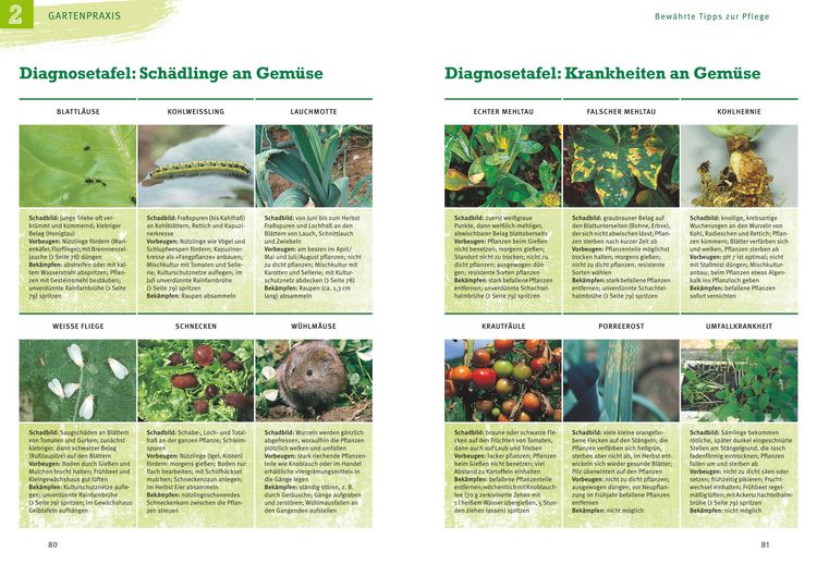 Produktbild: Obst & Gem&uuml;se selbst anbauen