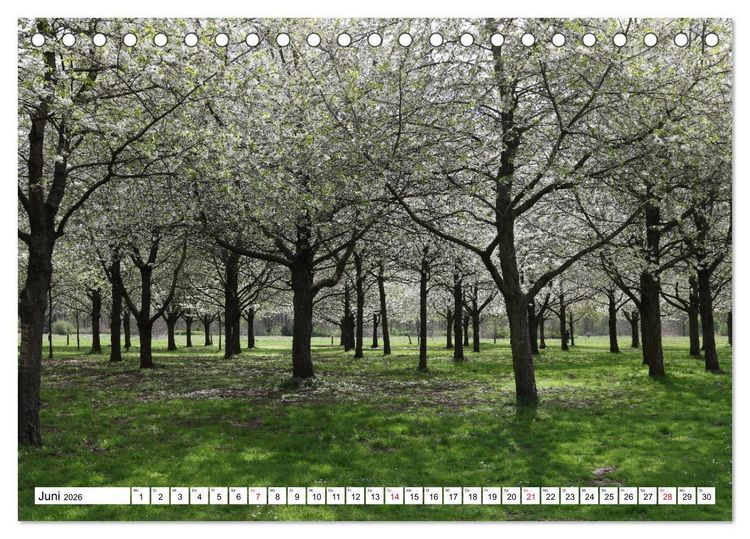 Produktbild: HANNOVER entdecken (Tischkalender 2026 DIN A5 quer), CALVENDO Monatskalender