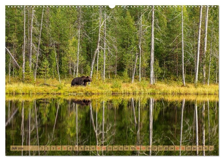 Produktbild: Wildes Finnland (hochwertiger Premium Wandkalender 2026 DIN A2 quer), Kunstdruck in Hochglanz