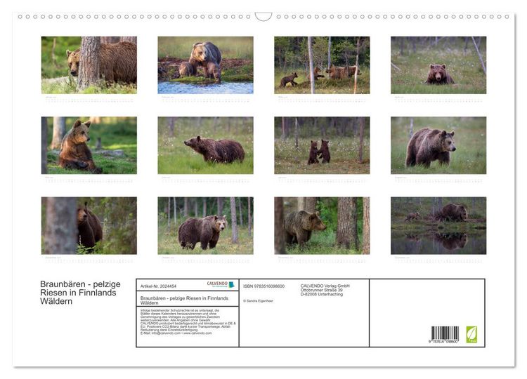 Produktbild: Braunb&auml;ren - pelzige Riesen in Finnlands W&auml;ldern (Wandkalender 2026 DIN A2 quer), CALVENDO Monatskalender