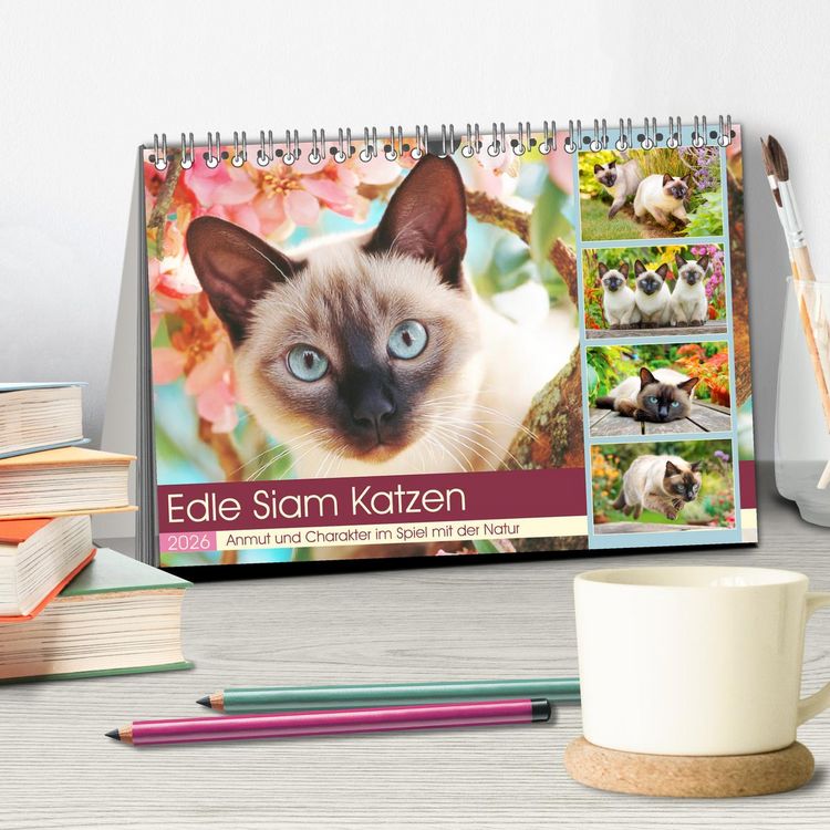 Produktbild: Edle Siamkatzen. Anmut und Charakter im Spiel mit der Natur (Tischkalender 2026 DIN A5 quer), CALVENDO Monatskalender